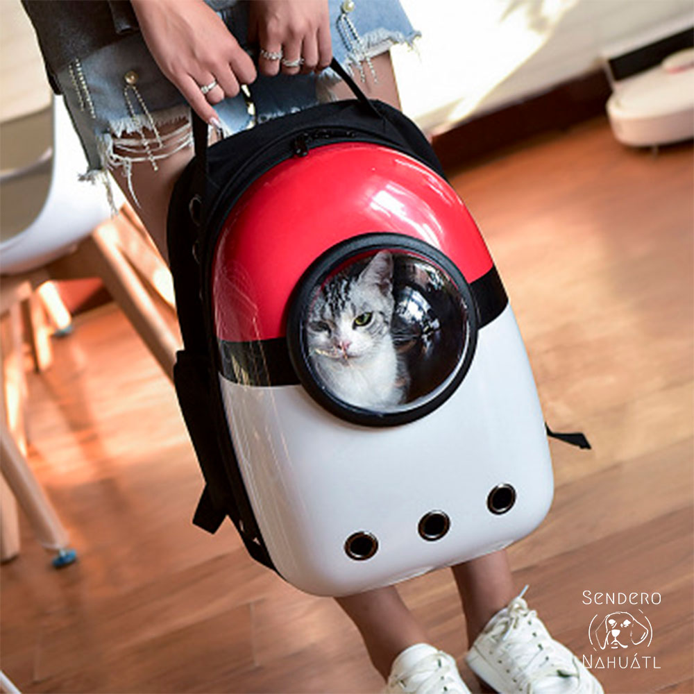 Mochila espacial con diseño porta mascota, mochila para gato, chihuahua