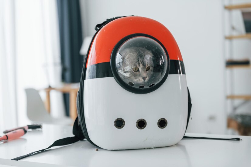 Mochila espacial con diseño porta mascota, mochila para gato, chihuahua