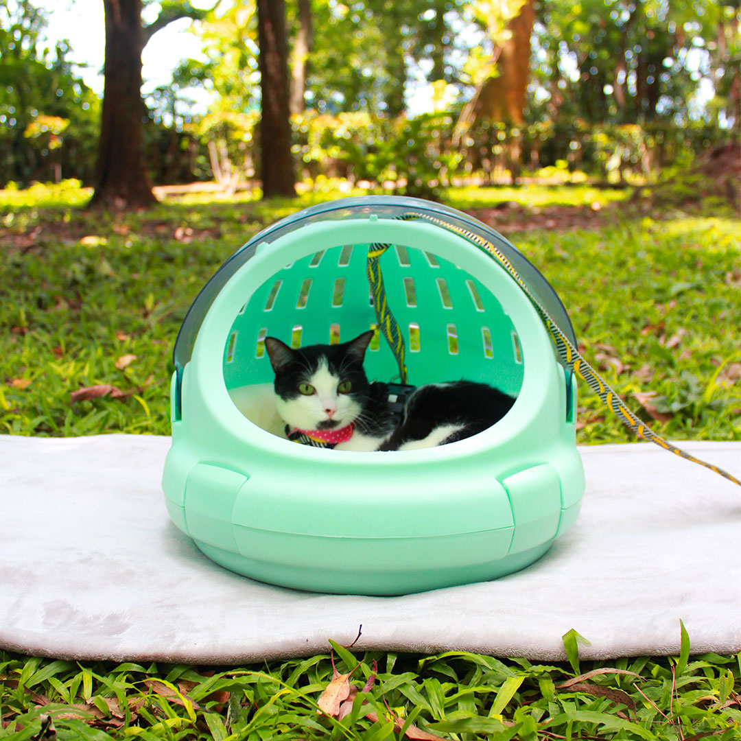 Kennel esfera 2 en 1 para mascota, portagato, chihuahua o conejo