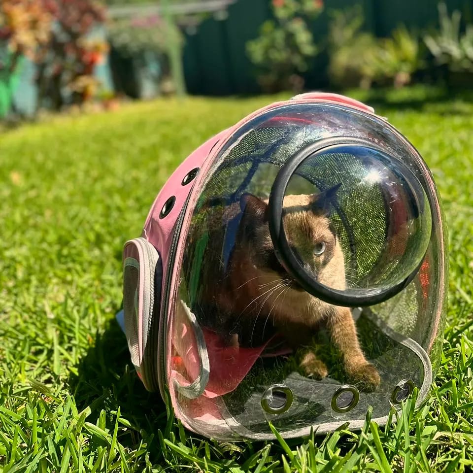 mochila espacial para gato, perro, conejo - versión expandible mochila porta mascota