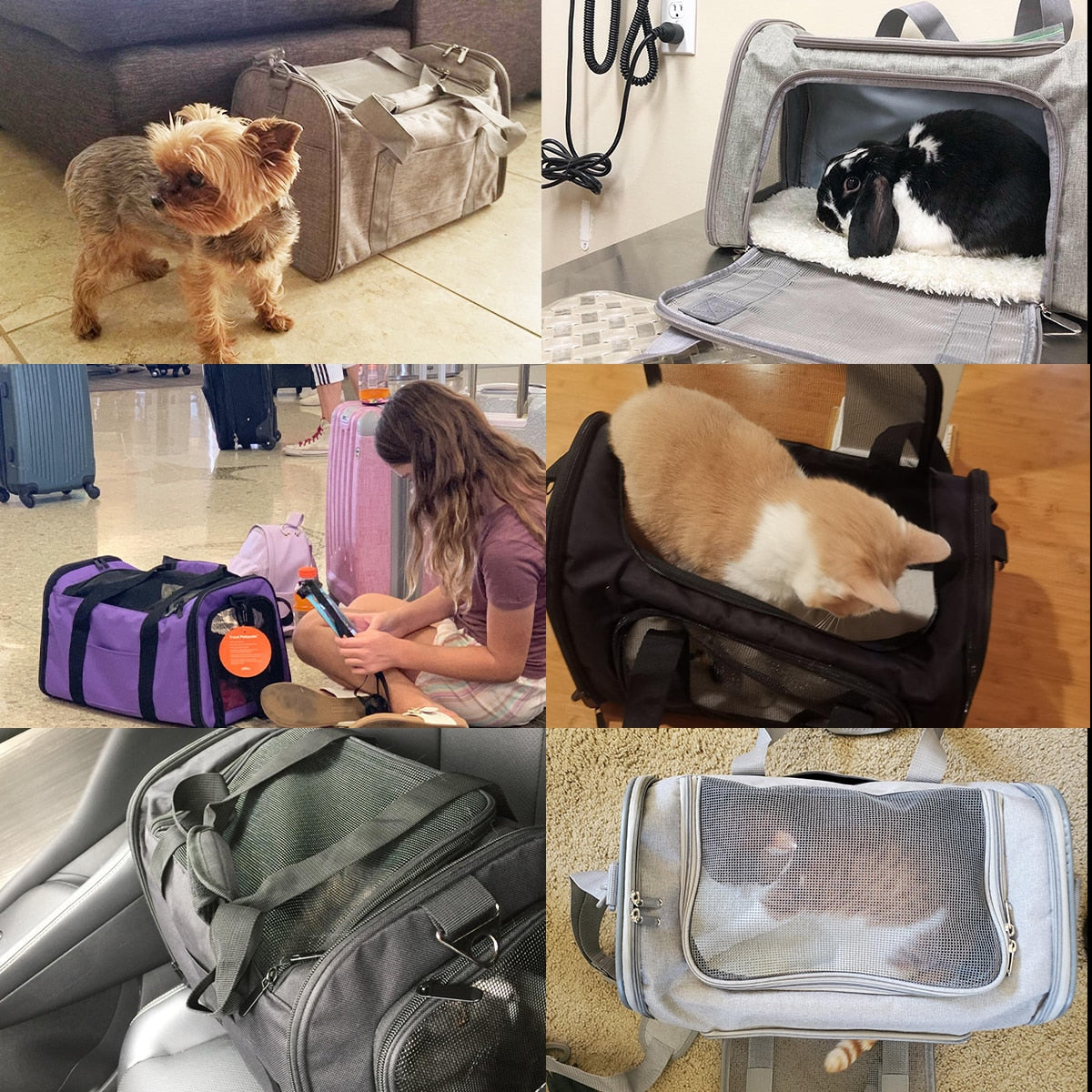 maletín travel porta mascota bolso para viaje gato, perro, conejo APROBADO POR AEROLÍNEA