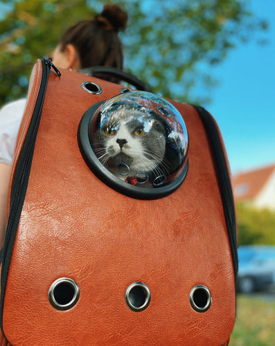 Mochila espacial premium con RODOS para gato o chihuahua portamascota