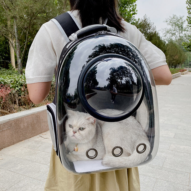 Gato en online mochila