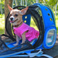 mochila espacial para gato, perro, conejo - versión expandible mochila porta mascota