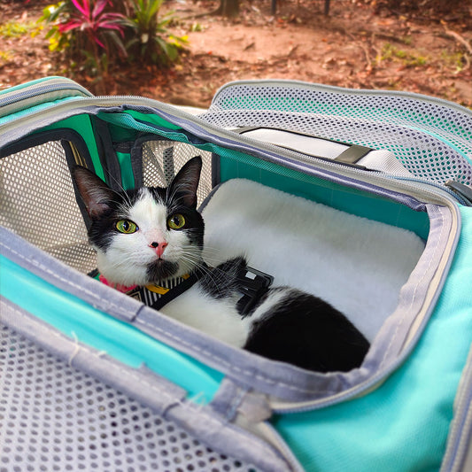 maletín expandible porta mascota, bolso para gato, perro APROBADO POR AEROLÍNEA