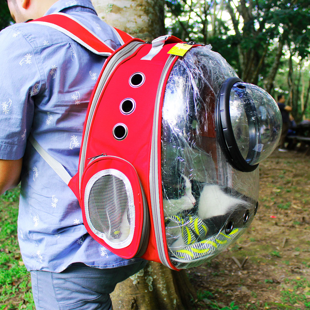 mochila espacial para gato, perro, conejo - versión expandible mochila porta mascota