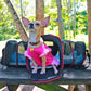 maletín expandible porta mascota, bolso para gato, perro APROBADO POR AEROLÍNEA