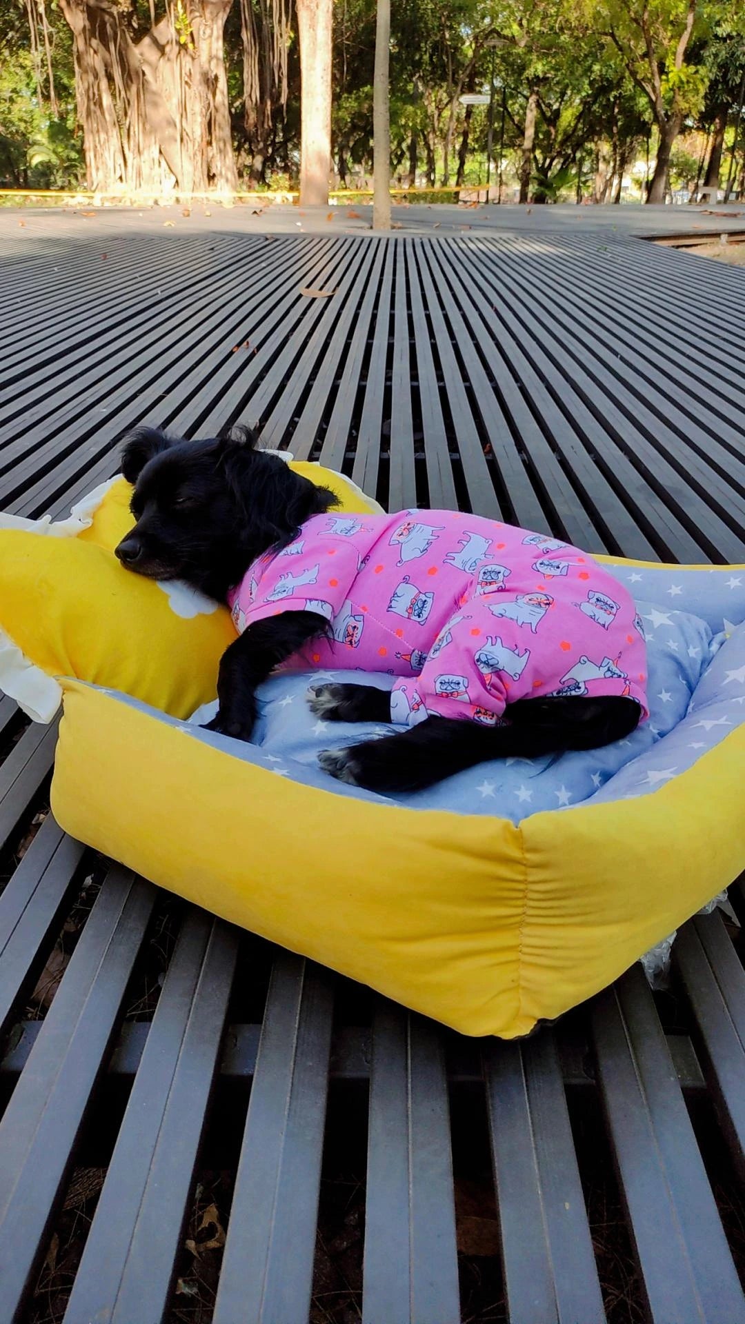 Cama Good Lucky para perro y gato