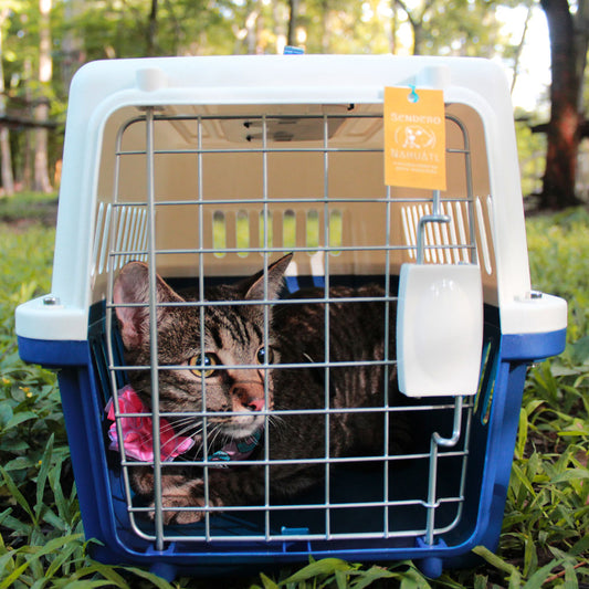 Kennel clásico pequeño transportadora gato, conejo, chihuahua