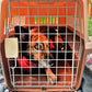 Kenne mediano clásico para perro o gato transportín